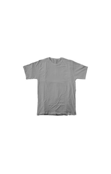 Kids T-Shirt (Grey)